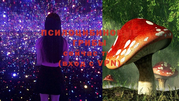 ешки Беломорск