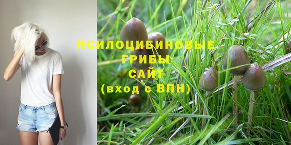 ешки Беломорск