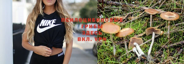 эйфоретик Белокуриха