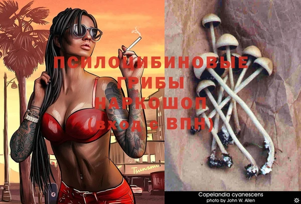 эйфоретик Белокуриха