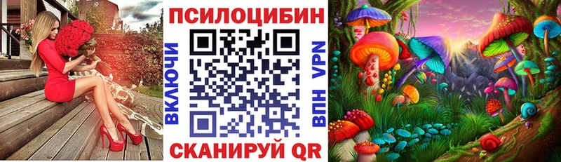 Псилоцибиновые грибы Psilocybine cubensis  как найти закладки  Михайлов 