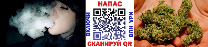 Конопля SATIVA & INDICA  Михайлов 